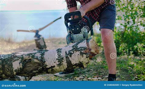 A Woodcutter, Logger Saws a Wood with a Chainsaw on the Beach of a Lake ...