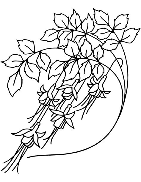 Top Printable Bellflower Coloring Pages Online Coloring Pages