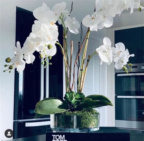 White Orchid Flower Arrangements