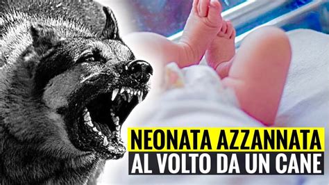 Neonata Di Mesi Azzannata Al Volto Dal Cane Di Famiglia Ferita