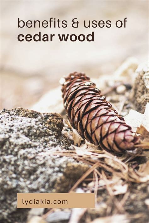 Uses Benefits Of Cedar Wood Cedarwood Herbs For Health Cedar Trees