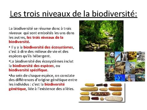 Les Trois Niveaux De La Biodiversit Dfinition De