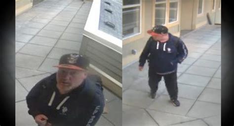 Nanaimo Rcmp Release Photo Of Screwdriver Wielding Break And Enter Suspect