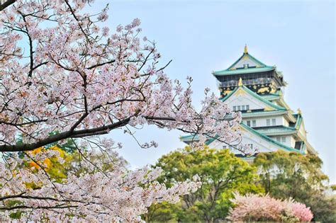 Bourses MEXT Du Gouvernement Japonais Premier Cycle Entièrement