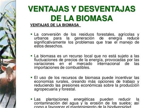 Energia De La Biomasa En Venezuela