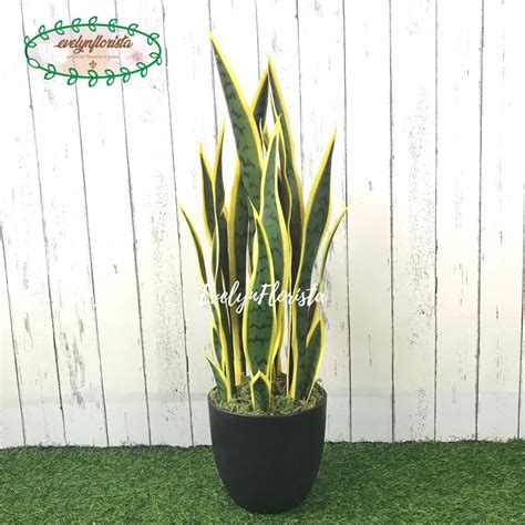 Jual Pohon Hias Daun Lidah Mertua Sansevieria T Latex Artificial Pot