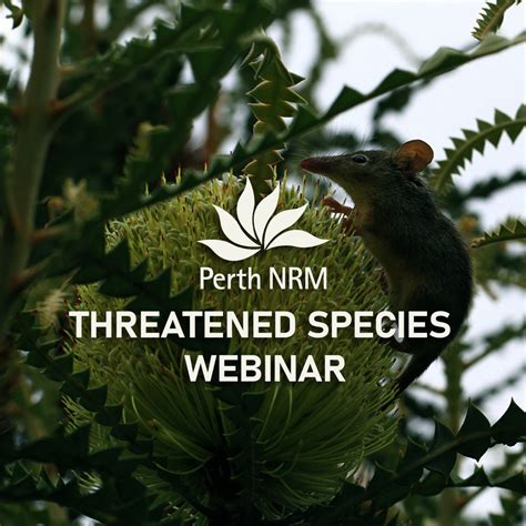 Threatened Species Webinar Videos • Perth Nrm