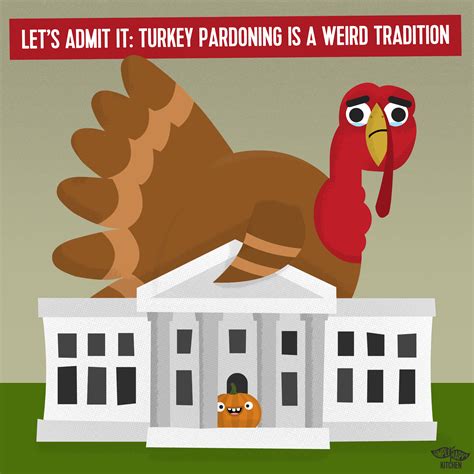 Let’s admit it: turkey pardoning is a weird tradition – Simple Happy Kitchen