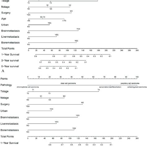 Nomograms That Predict The 1 3 And 5 Yr OS And CSS Rates Of Lung