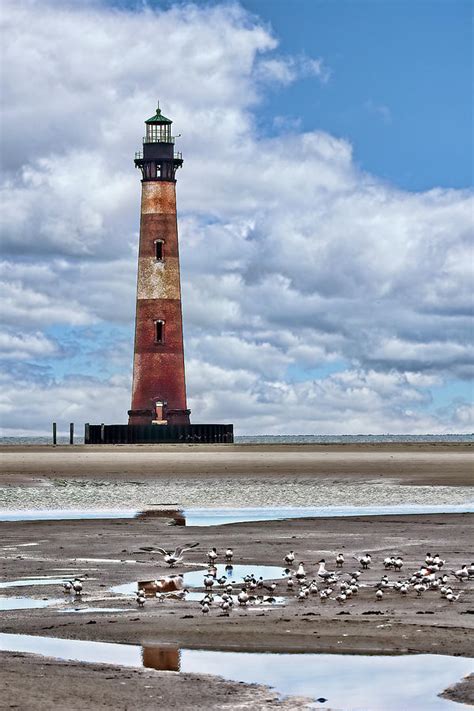 Morris Island Lighthouse At Low Tide Photograph By Marcia Colelli