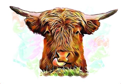 Highland Cow Png Sublimation Graphics Graphic By AlaBala Creative