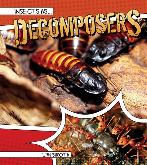 Insects As…: Insects as Decomposers (Paperback) - Walmart.com