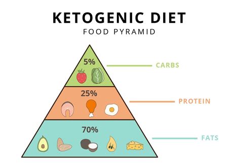 Ketogenic Diet Food Pyramid Vector Illustrator 222951 Vector Art At