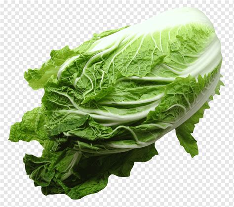 Lechuga Romana Cocina Vegetariana Col Coles Verdes Napa Col Vegetales