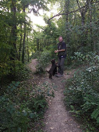 Truffle Hunting (Motovun, Croatia): Top Tips Before You Go (with Photos ...