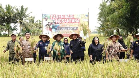 Mentan SYL Dampingi Presiden Panen Raya Di Kebumen Tandai Panen