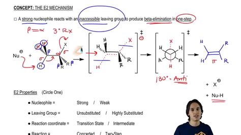 When 2 Bromo 2 3 Dimethylbutane Reacts With A Strong Base Two Al