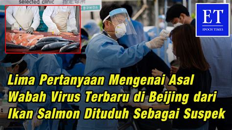 Lima Pertanyaan Mengenai Asal Wabah Virus Terbaru Di Beijing Dari Ikan