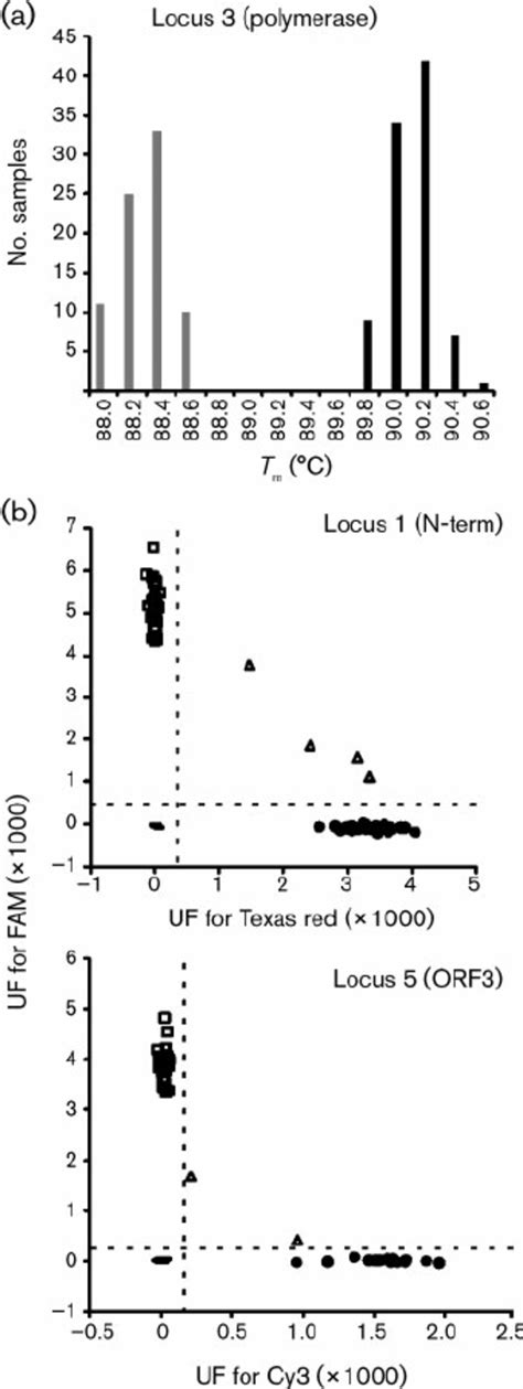 SYBR Green And TaqMan Based PCR Assays Discriminating Between MNV 1