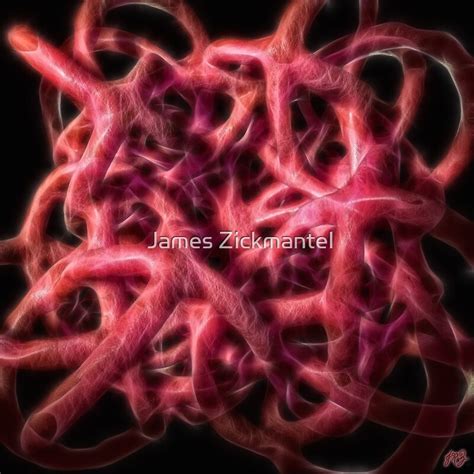 "Torus Mass (fractal)" by James Zickmantel | Redbubble