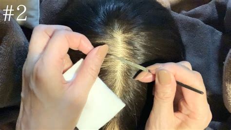 Asmr Scalp Check By Mannequin Role Play No Talking Binaural