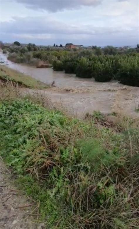 Corigliano Rossano Esondazione Fiume Crati Confagricoltura