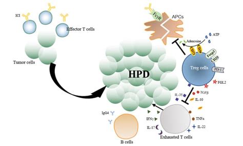 Topic Lung Cancer Drug Resistance