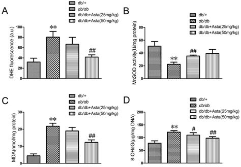 Effects Of Superoxide Dhe Mda And Ohdg Levels And Mnsod Activity