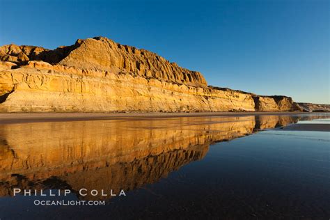 Torrey Pines State Beach Photo Stock Photo Of Torrey Pines State Beach