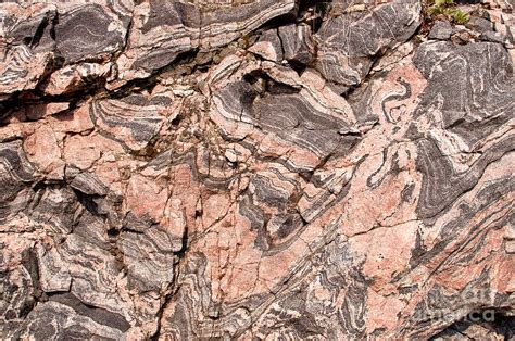 Pink Gneiss Rock Photograph By Les Palenik Fine Art America