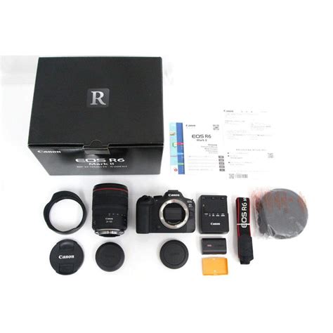 極美品｜キヤノン Eos R6 Mark Ii Rf24 105l Is Usm レンズキット γa5409 2s3 209550 5