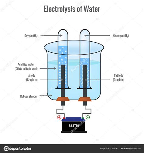 Electrolysis Water Forming Hydrogen Oxygen Vector Illustration Stock