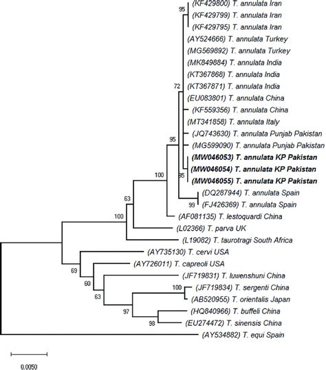 Neighbor Joining Algorithm Based Phylogenetic Tree Inferred From S