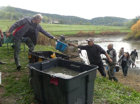 Monistrol Sur Loire L Tang Janisset Vidang Des Travaux Sur Les