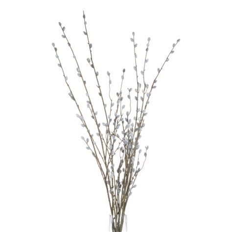Pussy Willow Branch Wholesale By Hill Interiors