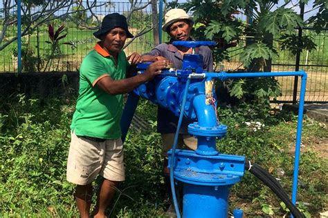 Sawah Kekeringan Subak Gunakan Sumur Bor Balipost