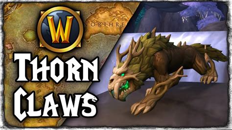 New Cat Tame Thorn Claw Guide - Patch 10.2 | World of Warcraft - YouTube