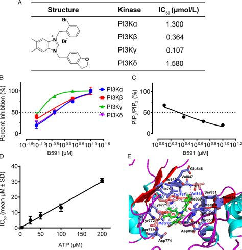 B591 Is A Selective Atp Competitive Inhibitor Of Class I Pi3k Kinase A