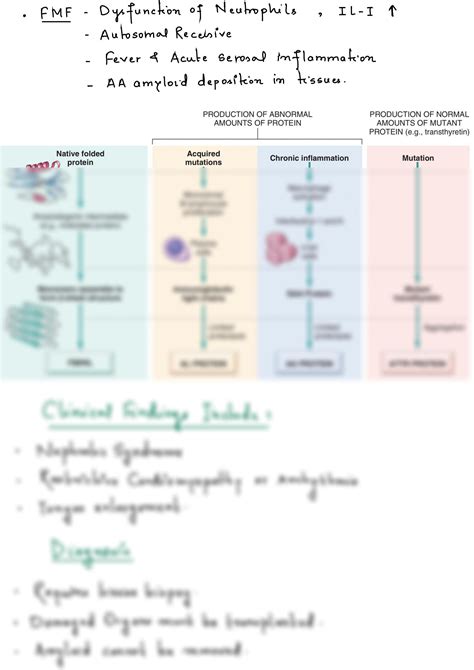 Solution Amyloidosis Amyloid Disease Studypool