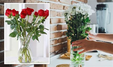 How To Make Cut Flowers Last Longer Homemade Concoction Keeps Them Free From Bacteria