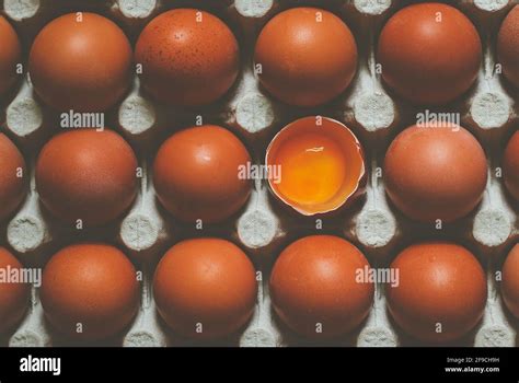 Whole Brown Chicken Eggs In Recycled Paper Tray And Open One With Yolk