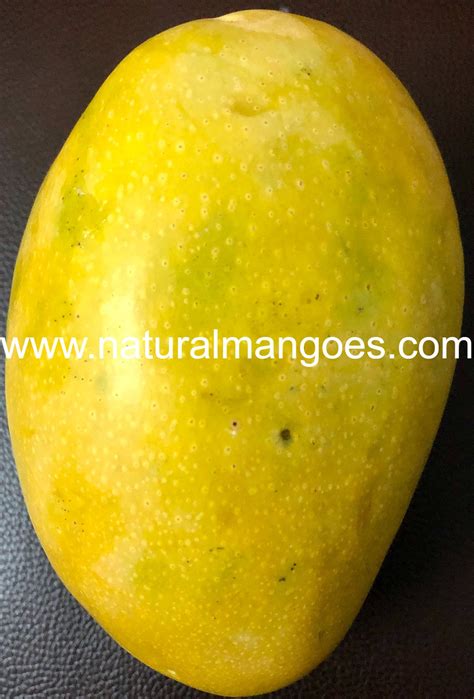 Where To Buy Organic Mangoes Looking For The Best Place To Buy By