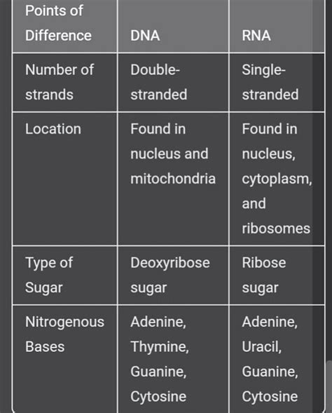 2 Complete The Table Of Difference Of Dna And Rna In Terms Of The Given Characteristics Points