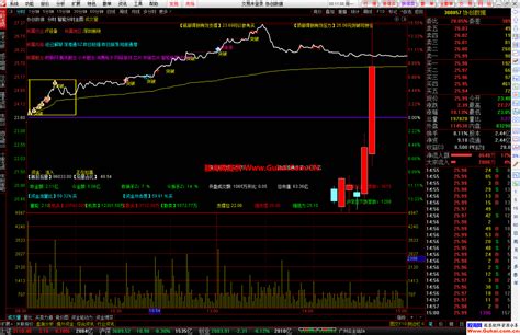 通达信泽海私募智能分时主图公式 叠加6日k线 日内t 0参考 神龙溪分时系列 源码文件分享 通达信公式 公式网