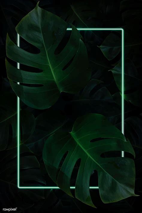 Tropical Leaves HD Phone Wallpapers - Wallpaper Cave