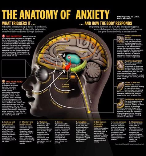 Infographics About Anxiety And How To Get Rid Of This Feeling