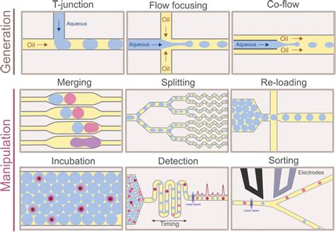 Singlecell Analysis Using Droplet Microfluidics Matu A