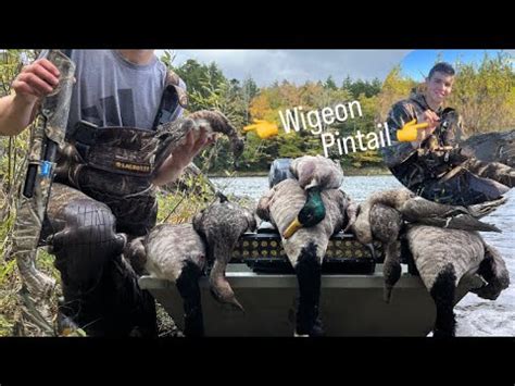 Pintail And Wigeon In The Same Day Maine Duck Hunting Youtube