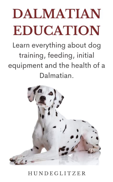 Dalmatian Education: Learn everything about dog training, feeding ...