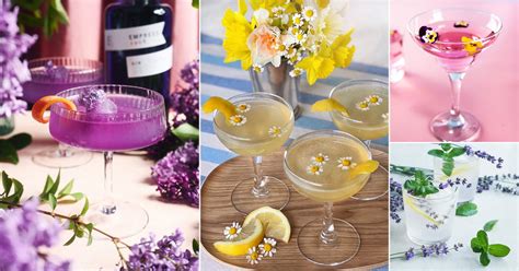 32 Edible Flowers for Cocktails | Balcony Garden Web